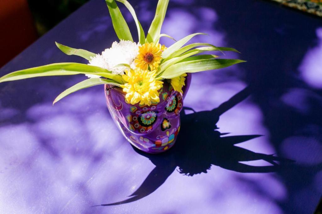 "Vainilla B&B" - Stylish Comfort In Playa Del Carmen Exterior foto