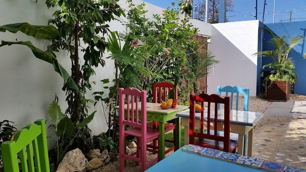 "Vainilla B&B" - Stylish Comfort In Playa Del Carmen Exterior foto
