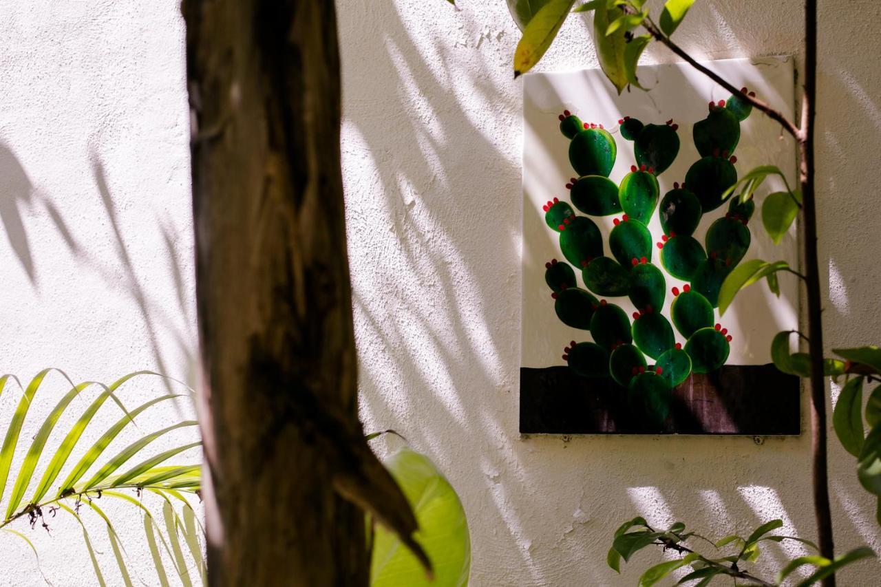 "Vainilla B&B" - Stylish Comfort In Playa Del Carmen Exterior foto