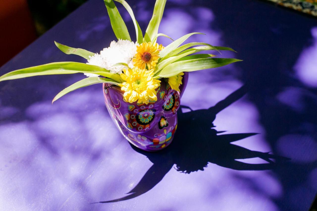 "Vainilla B&B" - Stylish Comfort In Playa Del Carmen Exterior foto